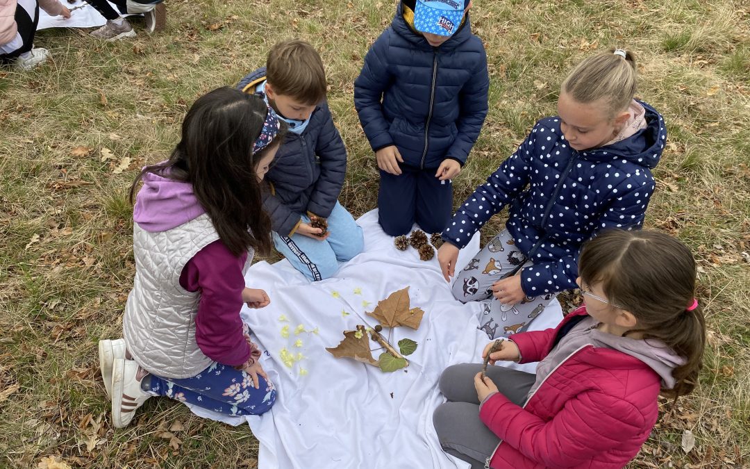 Osnovnošolci stopili korak nazaj k naravi